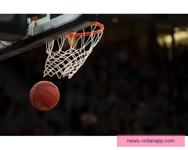 NBA篮球免费直播高清观看平台实时赛事精彩不断全程流畅体验球迷必看